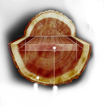 UED官方(中国区)唯一官方网站